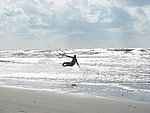 IMG_7775.JPG