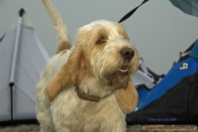 DSC_6630klein.jpg