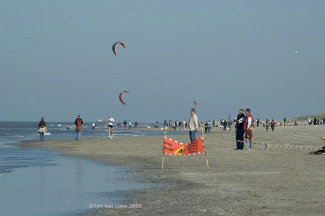 DSC_5313bew.jpg