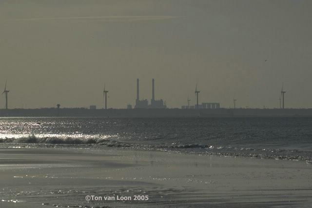 DSC_5364bew.jpg
