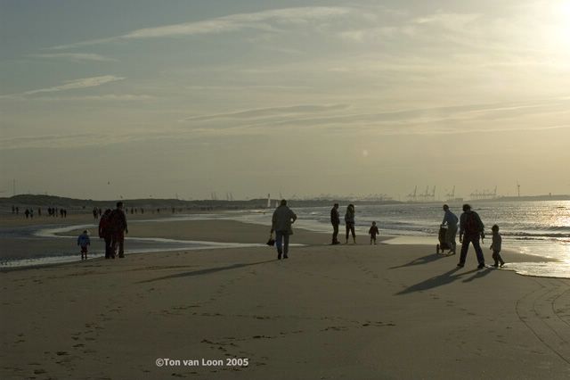 DSC_5396bew.jpg