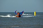 DSC_5308bew.jpg