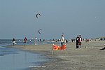 DSC_5313bew.jpg