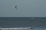 DSC_5337bew.jpg