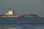 DSC_5395bew.jpg