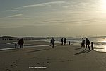 DSC_5396bew.jpg