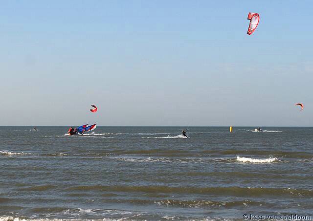 IMG_5350.jpg