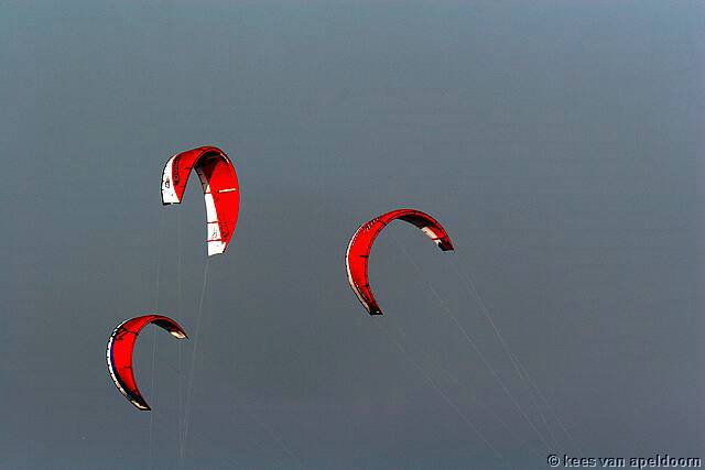 IMG_5423.jpg